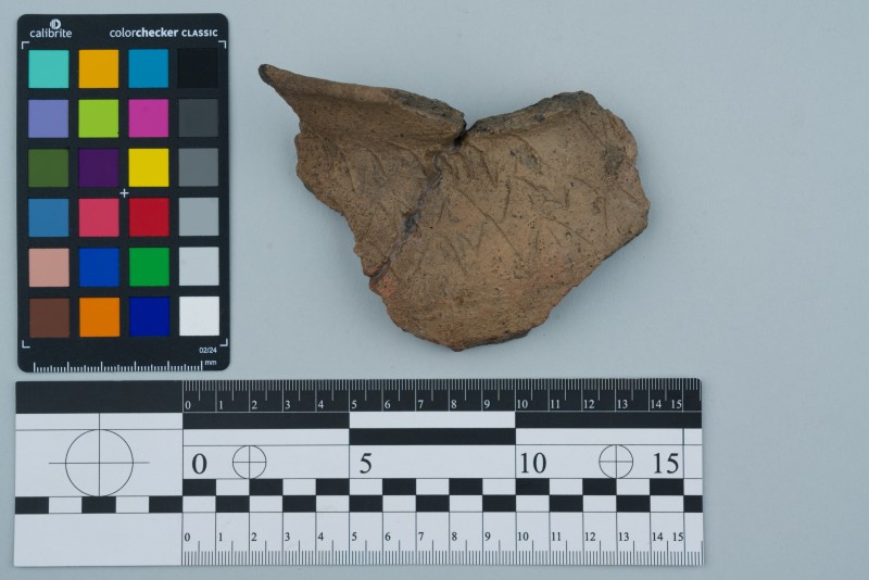 Вінчик посудини