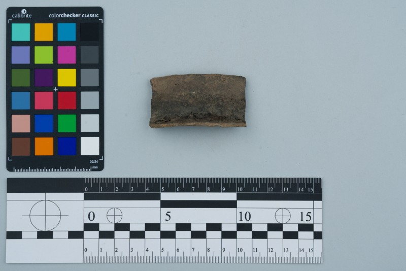 Вінчик посудини