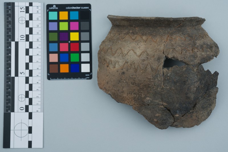 Вінчик посудини