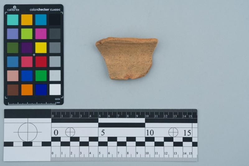 Вінчик посудини