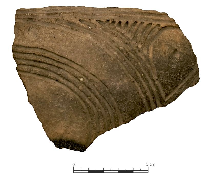 Фрагмент посудини