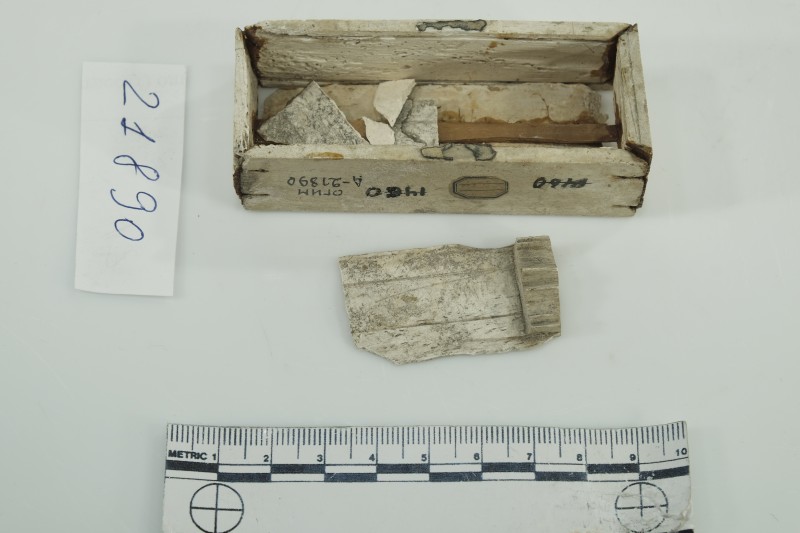 Кістяна коробочка