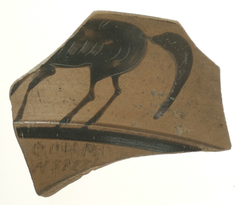 Фрагмент стінки