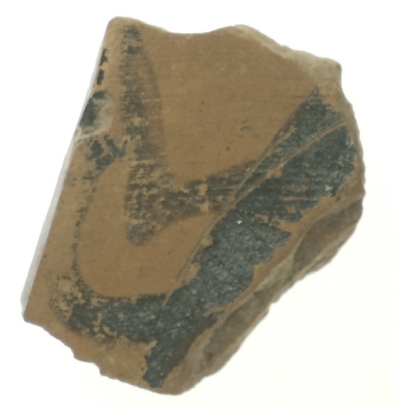 Фрагмент стінки аттичної посудини