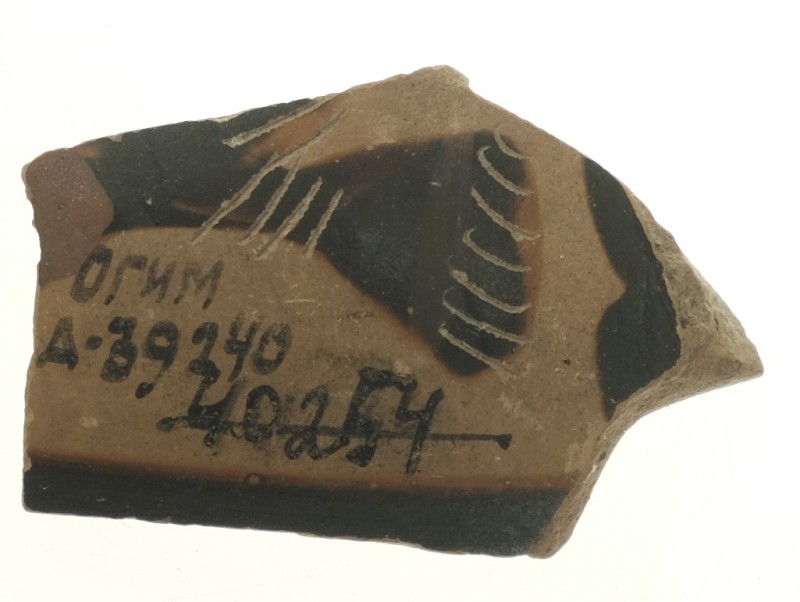 Фрагмент стінки