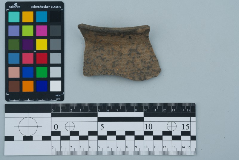 Вінчик посудини