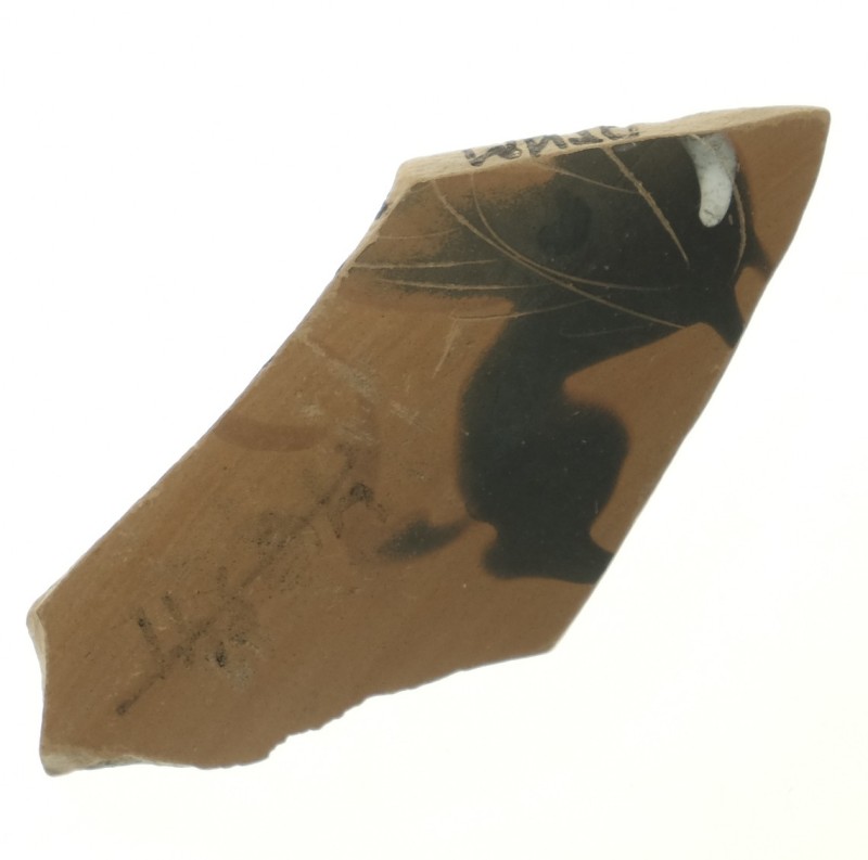 Фрагмент стінки