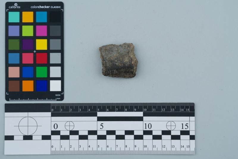 Вінчик посудини