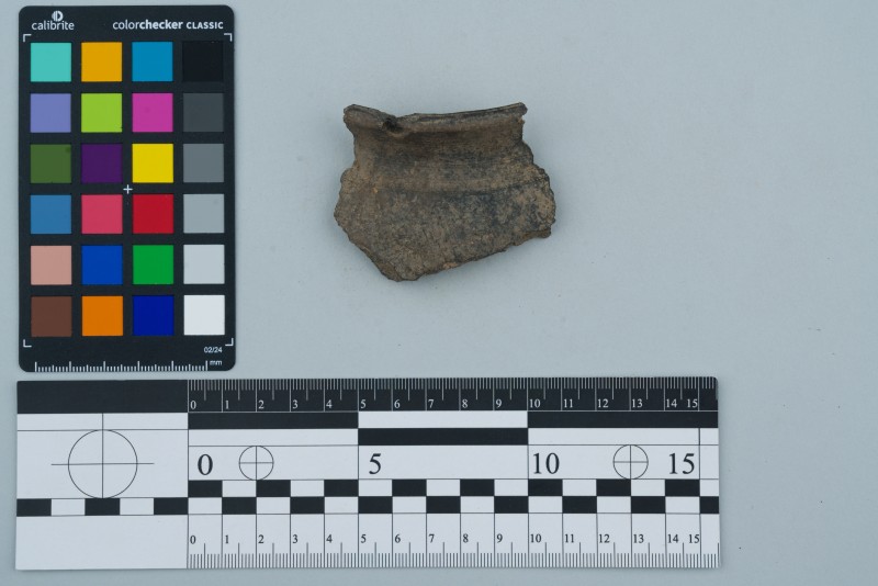 Вінчик посудини