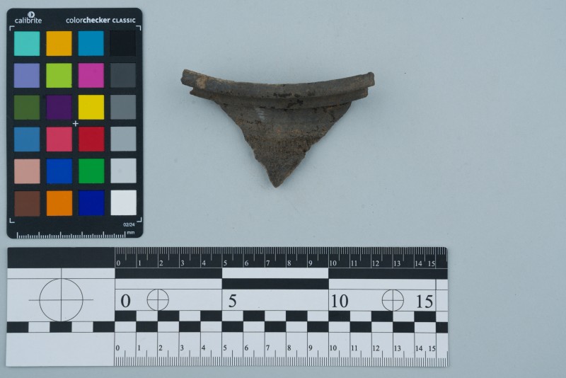 Вінчик посудини