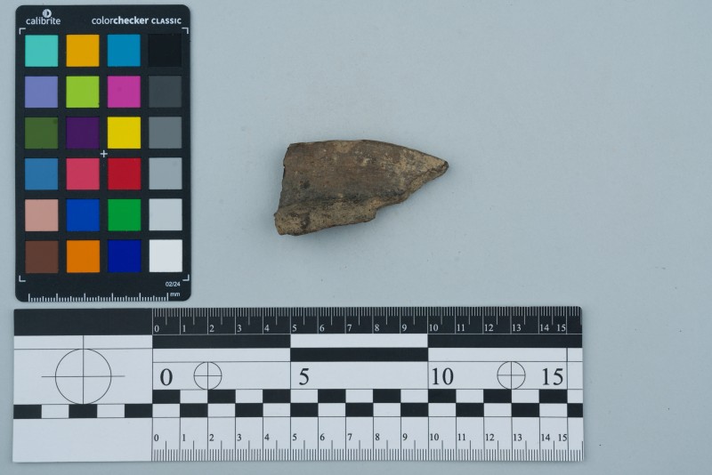 Вінчик посудини