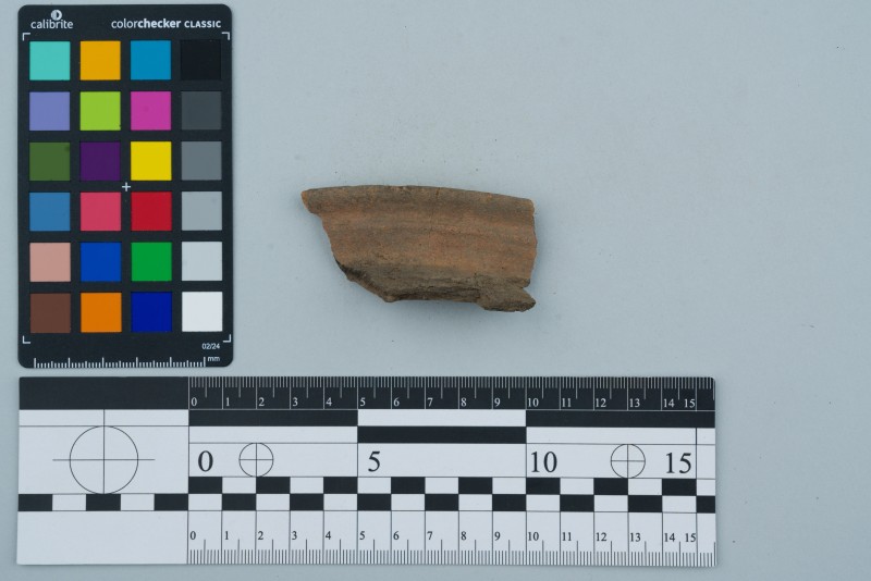 Вінчик посудини