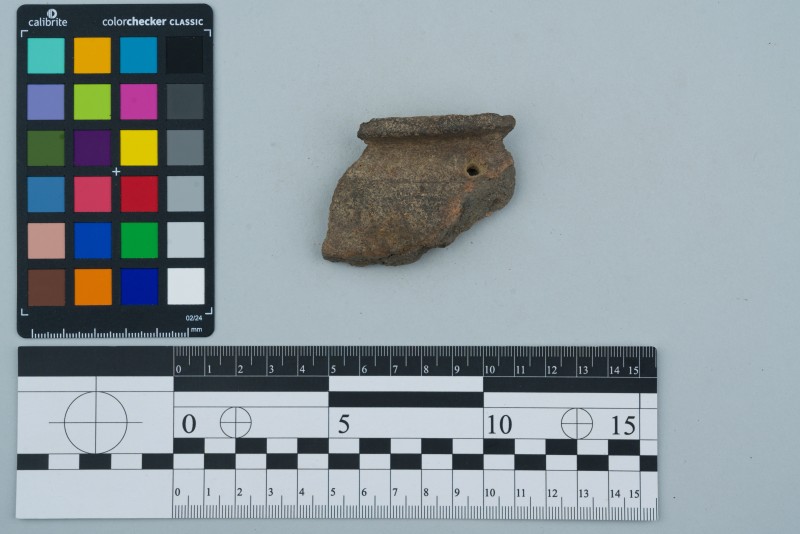 Вінчик посудини