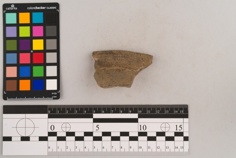 Вінчик посудини