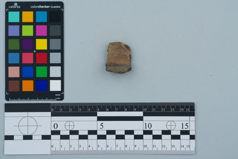 Вінчик посудини