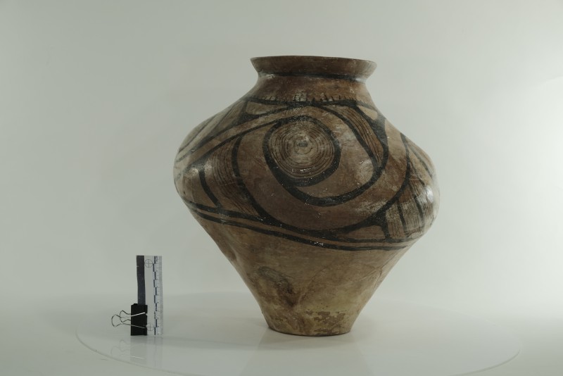 Грушоподібна посудина