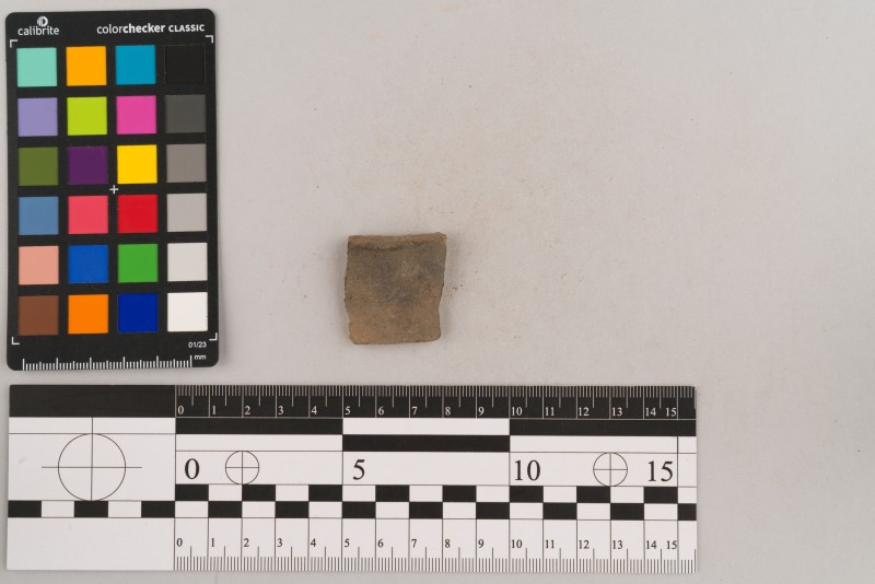 Вінчик посудини