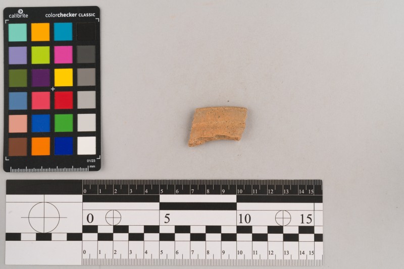 Вінчик посудини