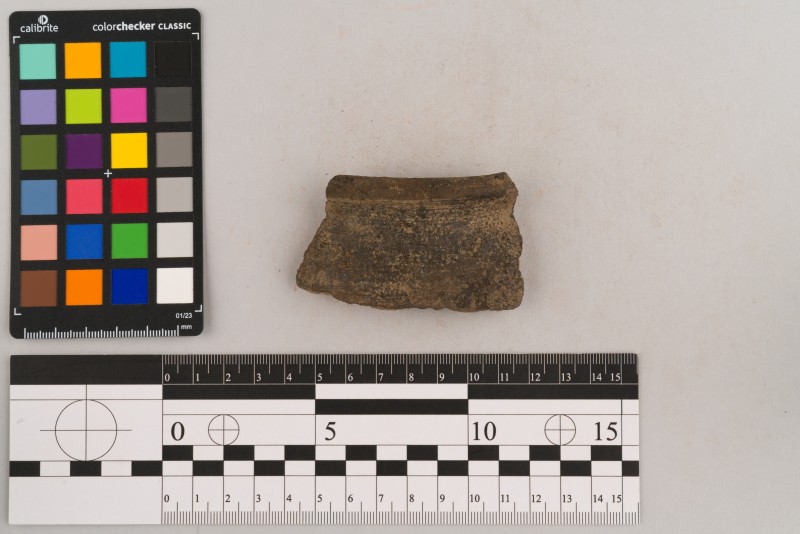 Вінчик посудини