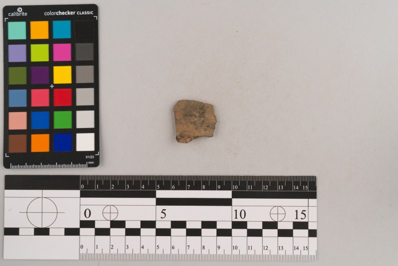 Вінчик посудини