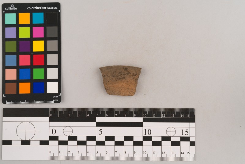 Вінчик посудини