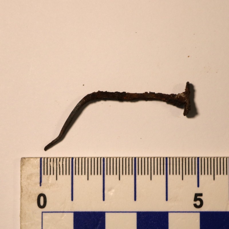 Малий гонтовий цвях