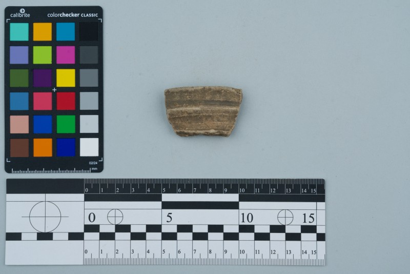 Вінчик посудини