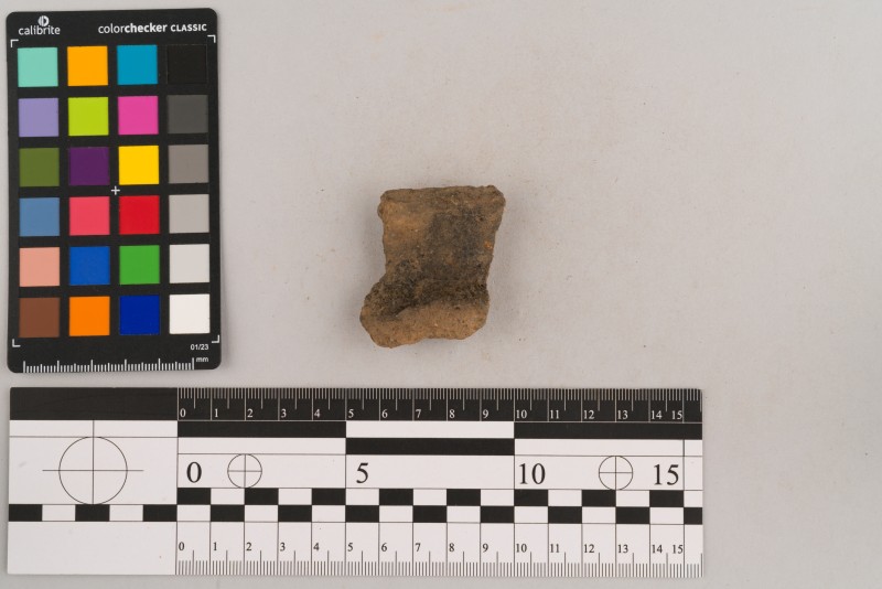 Вінчик посудини