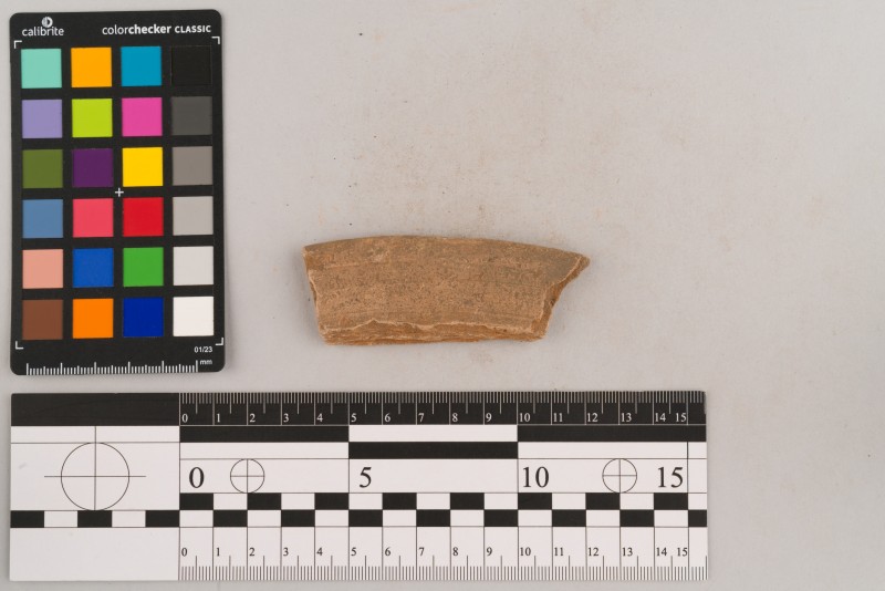 Вінчик посудини