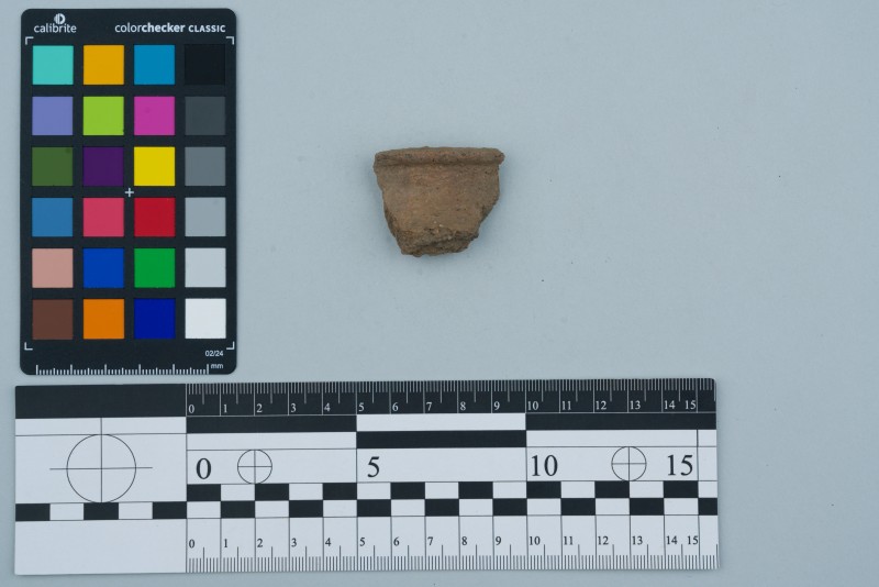 Вінчик посудини