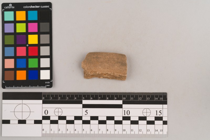 Вінчик посудини