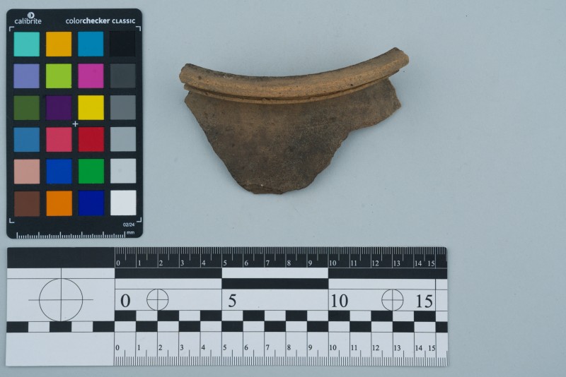 Вінчик посудини