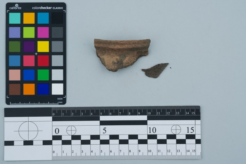 Вінчик посудини