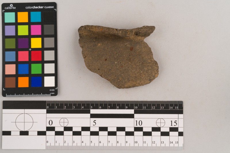 Вінчик посудини