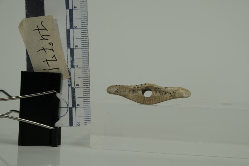 Амулет з кістки