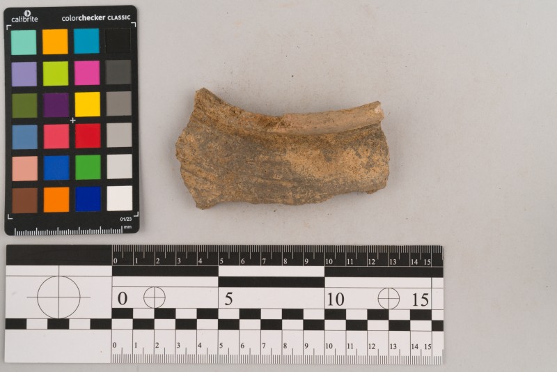 Вінчик посудини