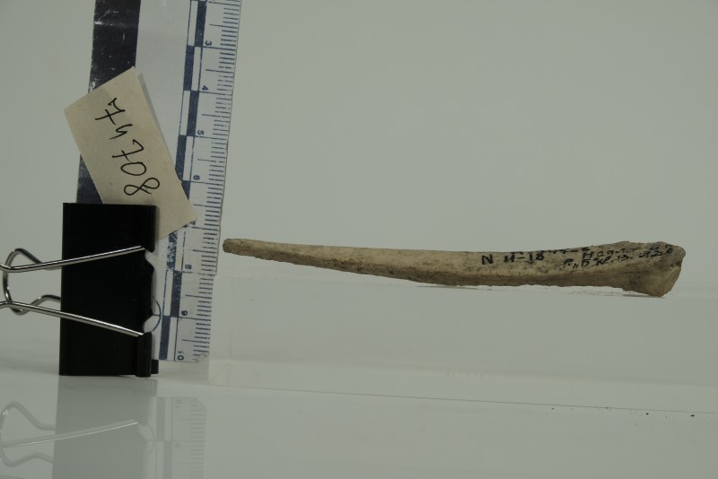 Проколка кістяна