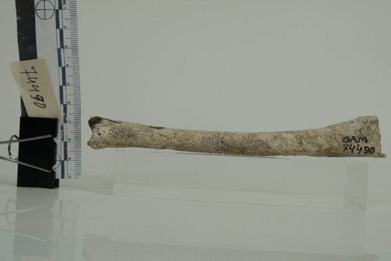 Музичний інструмент типу флейти