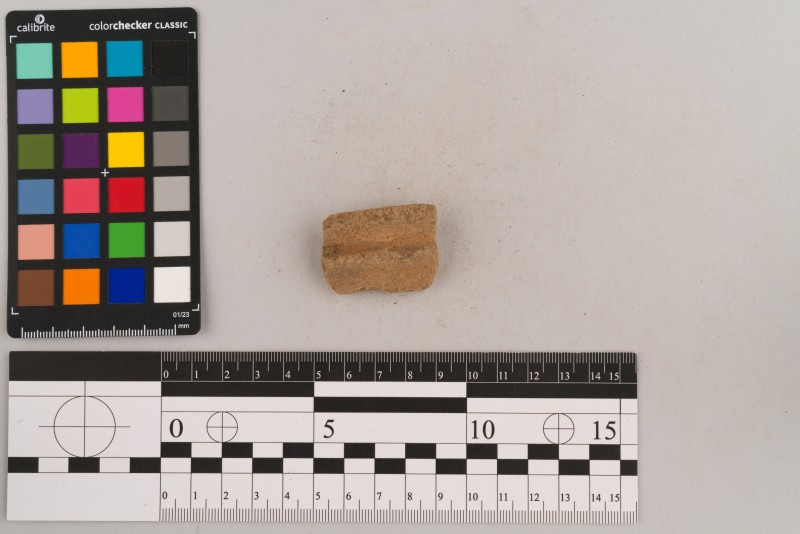 Вінчик посудини