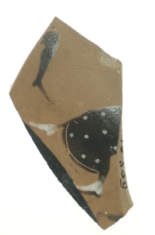 Уламок стінки