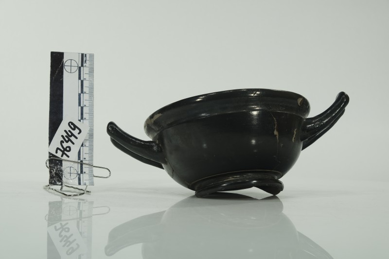 Кілік чорнолаковий