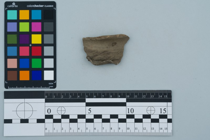 Вінчик посудини