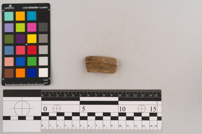 Вінчик посудини