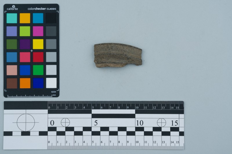 Вінчик посудини