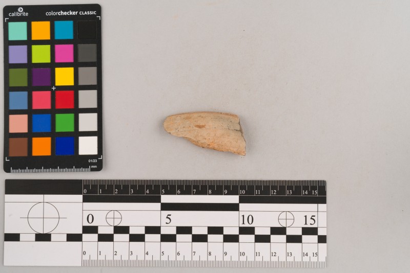 Вінчик посудини