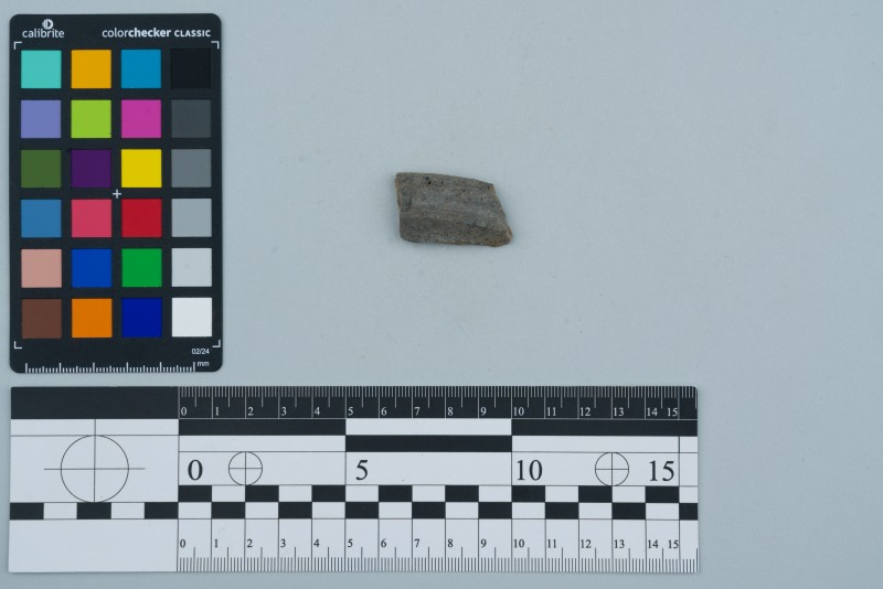 Вінчик посудини