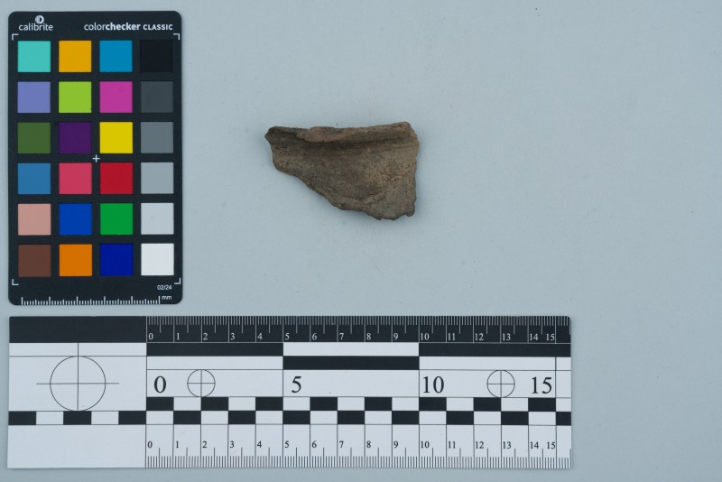 Вінчик посудини