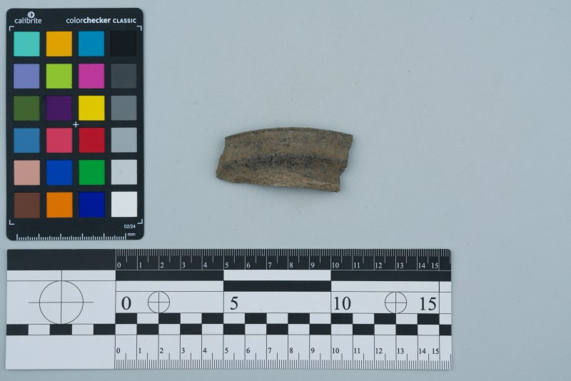 Вінчик посудини