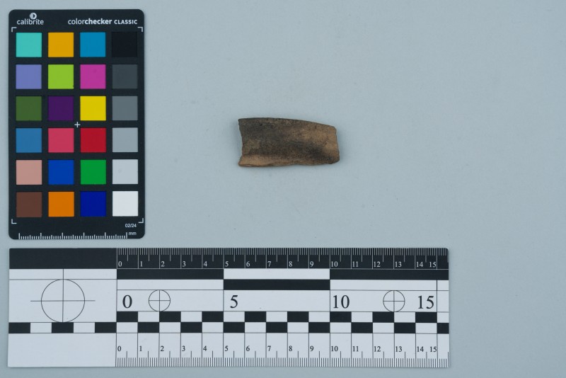 Вінчик посудини