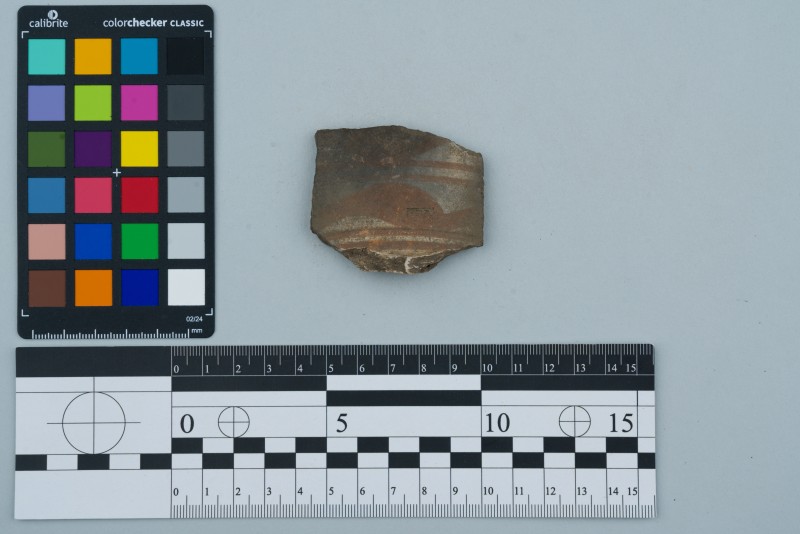 Боковина посудини